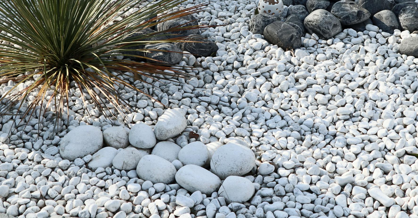 Galets blancs d'Alexandre posés sur des galets blancs de Carrare