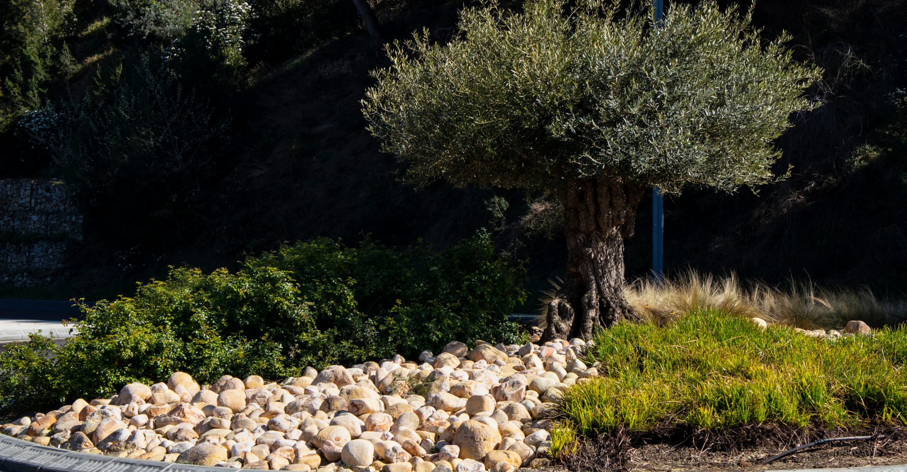 Galets arc en ciel sur rond point