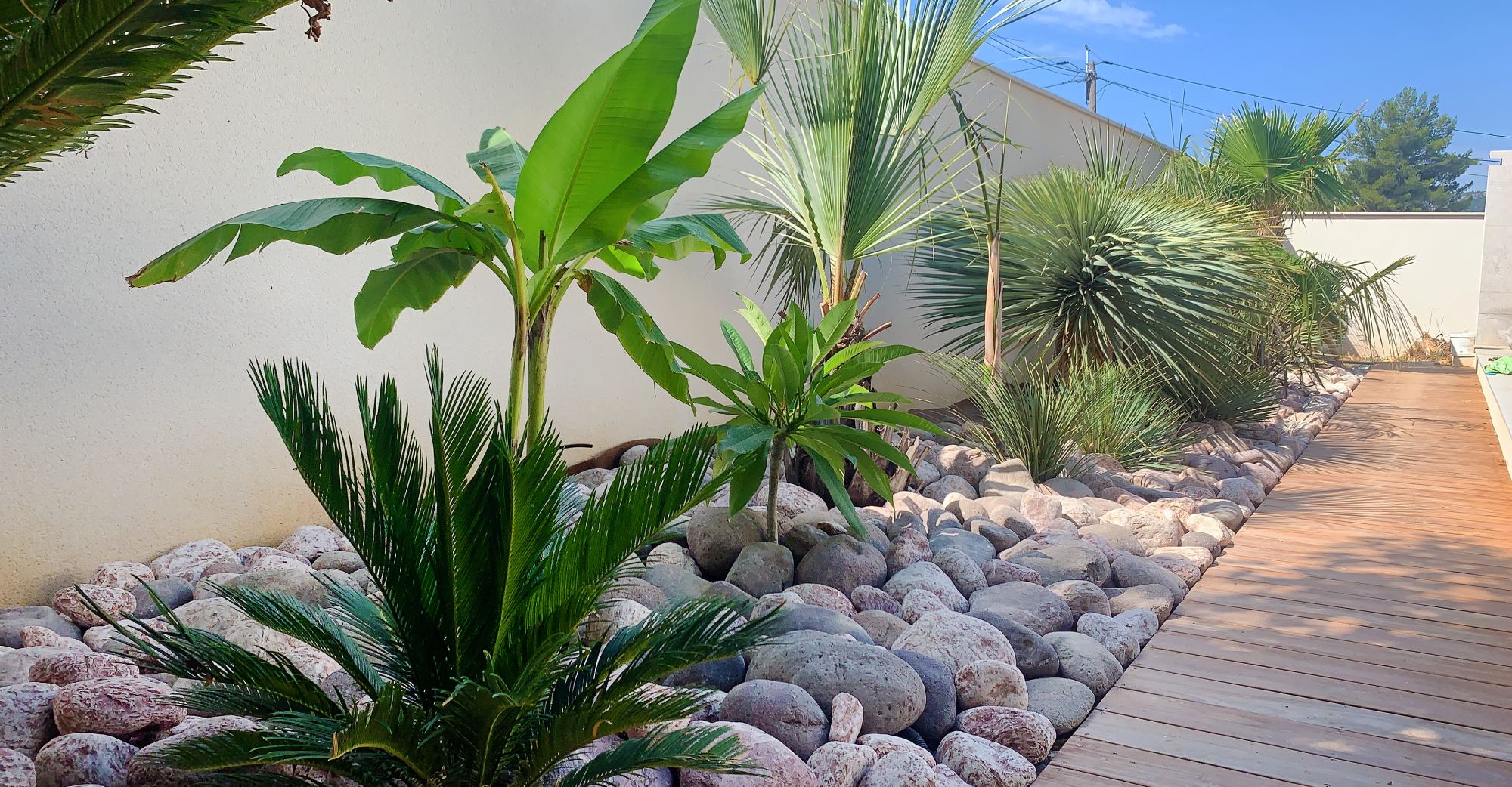 Allée en galet d'ornement rose d'Égée