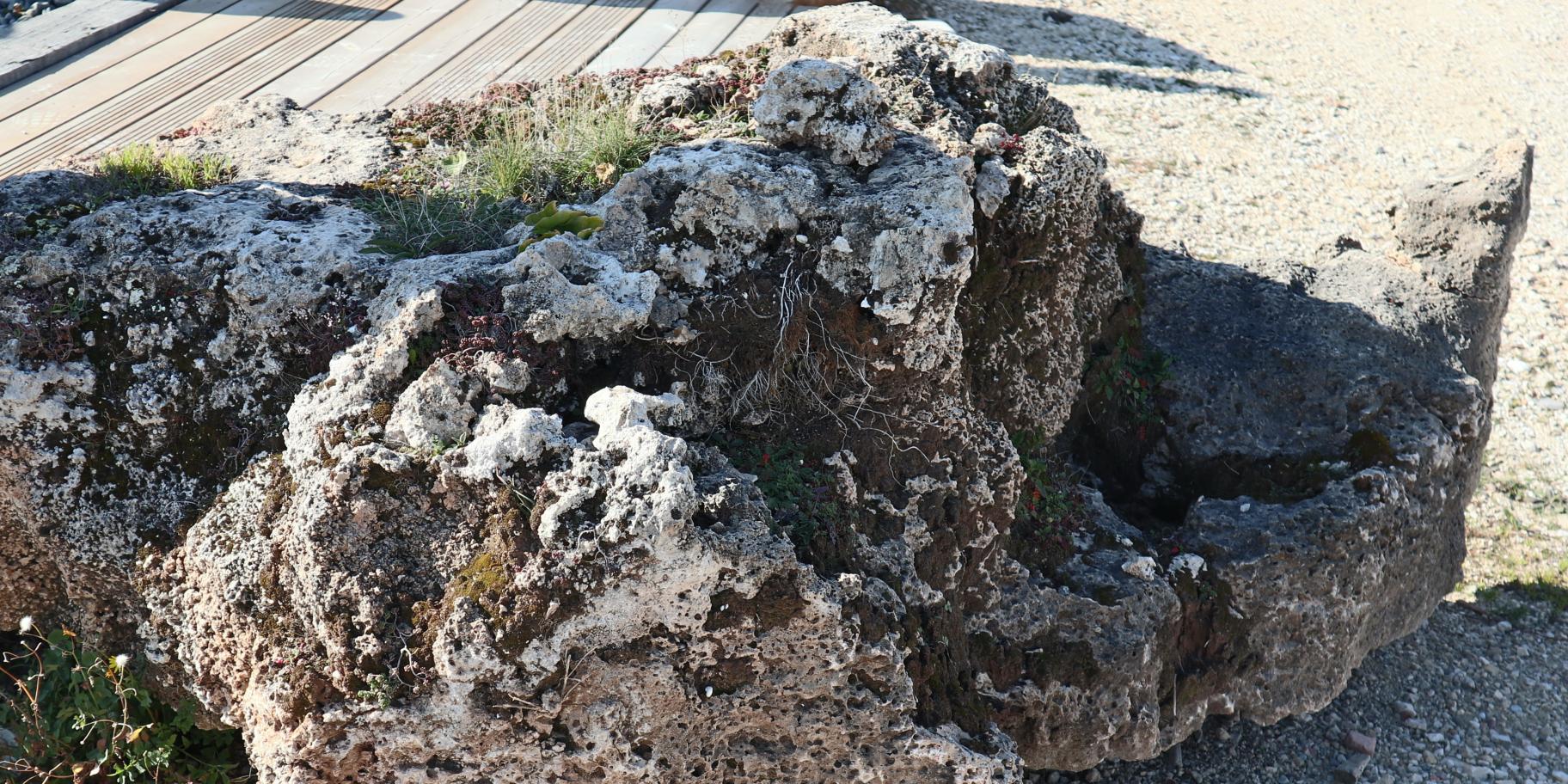 Roche décorative calcaire en vente chez Roches et Galets